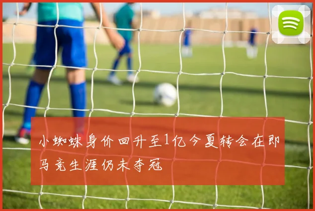 小蜘蛛身价回升至1亿今夏转会在即马竞生涯仍未夺冠